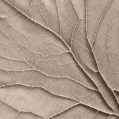 Vt-293 Atlantis MDFLAM 18*2800*2100