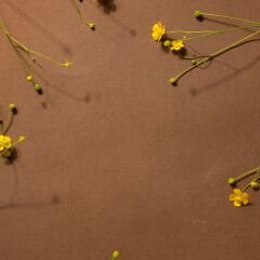 Vt-275 Avanos Ceviz MDFLAM 08*2800*2100