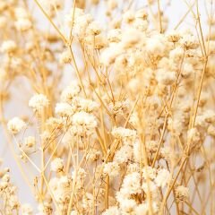 Vt-010 Bej MDFLAM 08*2800*2100