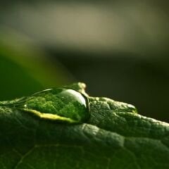 Yt-41D Belgrad Yeşili MDFLAM 18*2800*2100