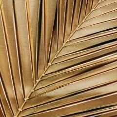 Vt-274 Belly MDFLAM 08*2800*2100