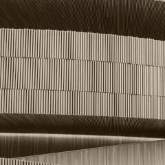 Vt- 187 Beyaz Huş MDFLAM 08*2800*2100