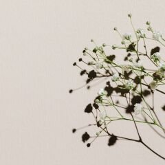 Vt-824 Çöl Beji MDFLAM 18*2800*2100