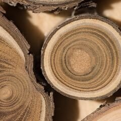 Yt-61A Egzotik Meşe MDFLAM 18*2800*2100