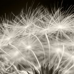 Vt-592 Gri Chevron MDFLAM 18*2800*2100