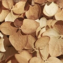 Yt-Z42 İzola MDFLAM 08*2800*2100