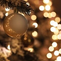 Vt-810 Kaman Ceviz MDFLAM 08*2800*2100