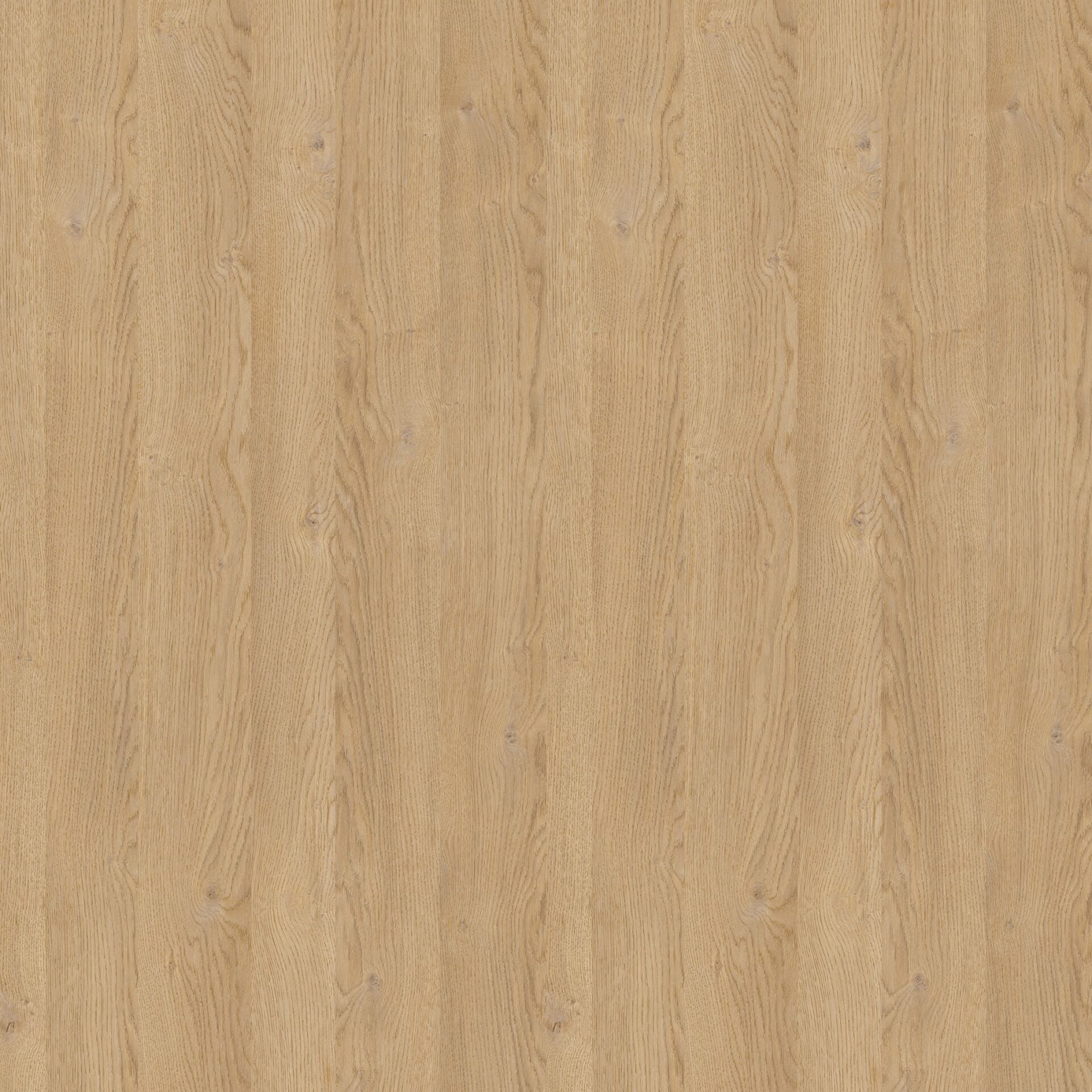 Vt-13A Karina MDFLAM