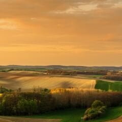 Vt-017 Kayın MDFLAM 18*2800*2100