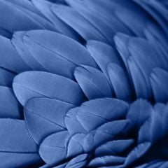 Vt-025 Mavi MDFLAM 18*2800*2100