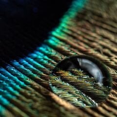 Vt-728 Melisa MDFLAM 08*2800*2100