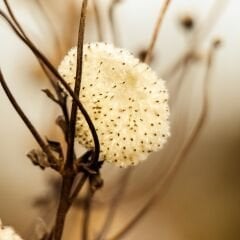 Vt-674 Navaro MDFLAM 08*2800*2100