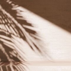 Vt-053 Nil Ceviz MDFLAM 08*2800*2100