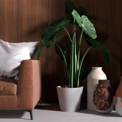 Vt-053 Nil Ceviz MDFLAM 18*2800*2100