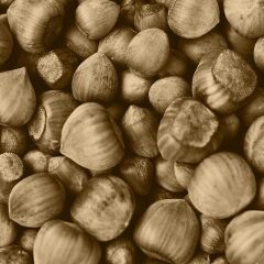 Yt-49A Otantik Meşe MDFLAM 08*2800*2100