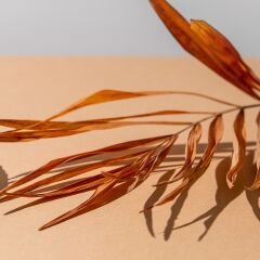 Vt-254 Palisender MDFLAM 18*2800*2100