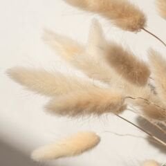 Yt-38D Pudra Krem MDFLAM 18*2800*2100