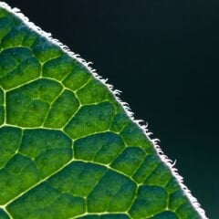 Yt-88B Silva MDFLAM 18*2800*2100