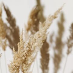 Vt-265 Vario Vizon MDFLAM 18*2800*2100