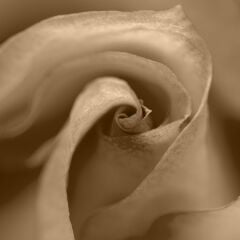 Vt-15A Vega MDFLAM 08*2800*2100