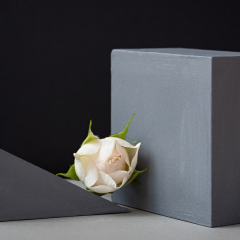 Yt-85B Vita MDFLAM 18*2800*2100