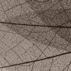 Yt-98D Vizon Latte MDFLAM 18*2800*2100