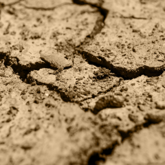 Vt-202 Yeni Meşe MDFLAM 18*2800*2100