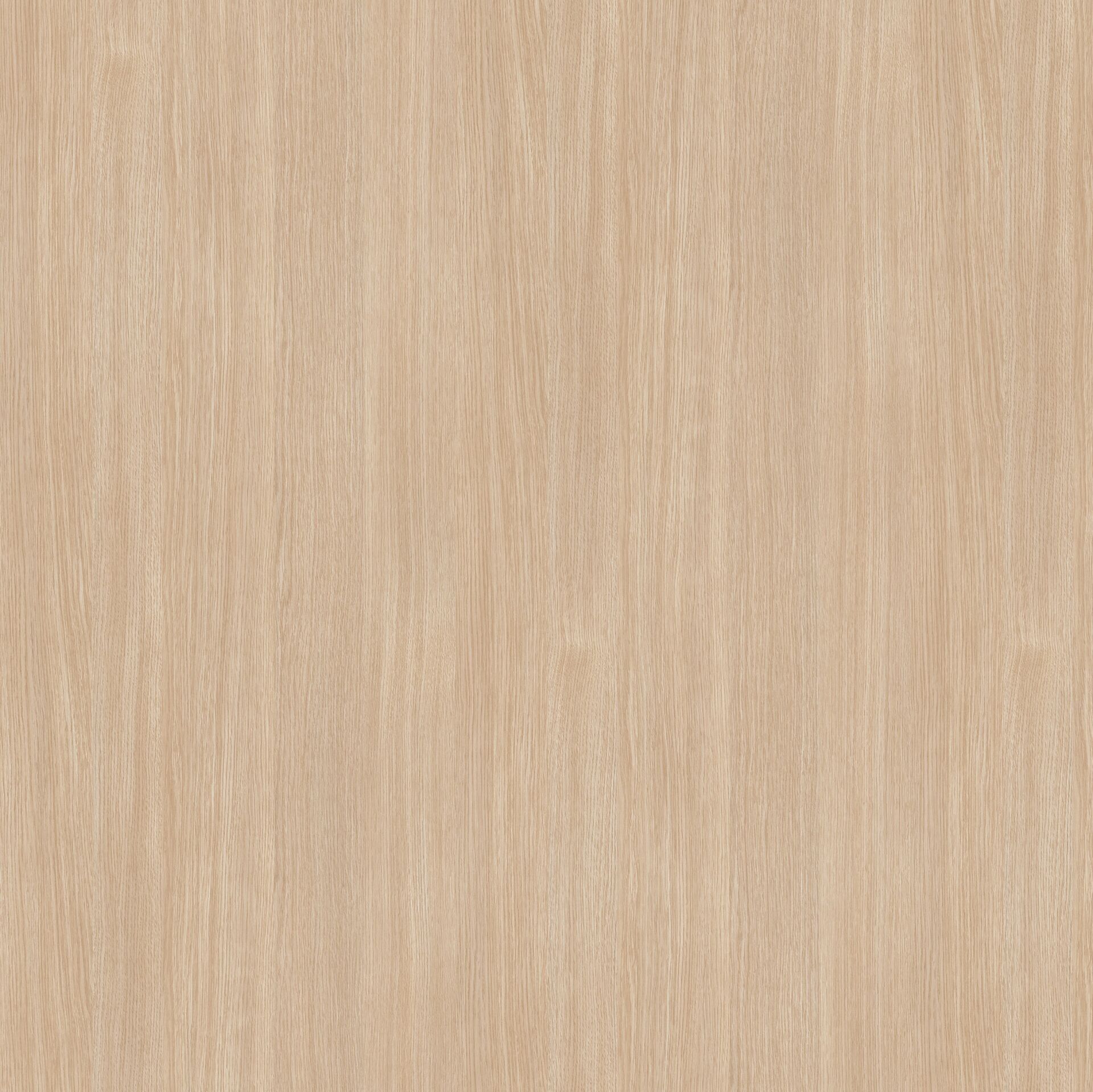 Vt-925 Beyaz Meşe MDFLAM 18*2800*2100