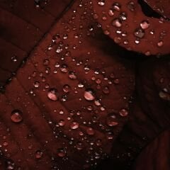 Vt-28D Akik Kızıl MDFLAM 18*2800*2100