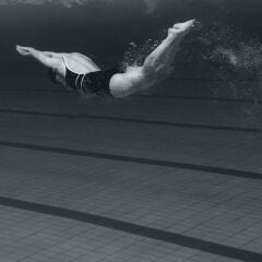 Vt-39C Dakron Gri MDFLAM 08*2800*2100