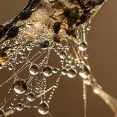 Vt-Z33 Budva MDFLAM 18*2800*2100