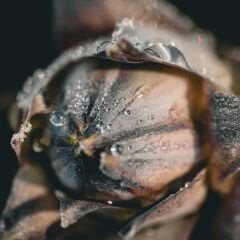 Vt-Z34 Balos MDFLAM 18*2800*2100