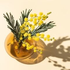 Hg-402 Ekru Krem - Kapak Panel - 18*1220*2800mm