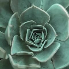 Mat-Z53 İyon - Kapak Panel - 18*1220*2800mm