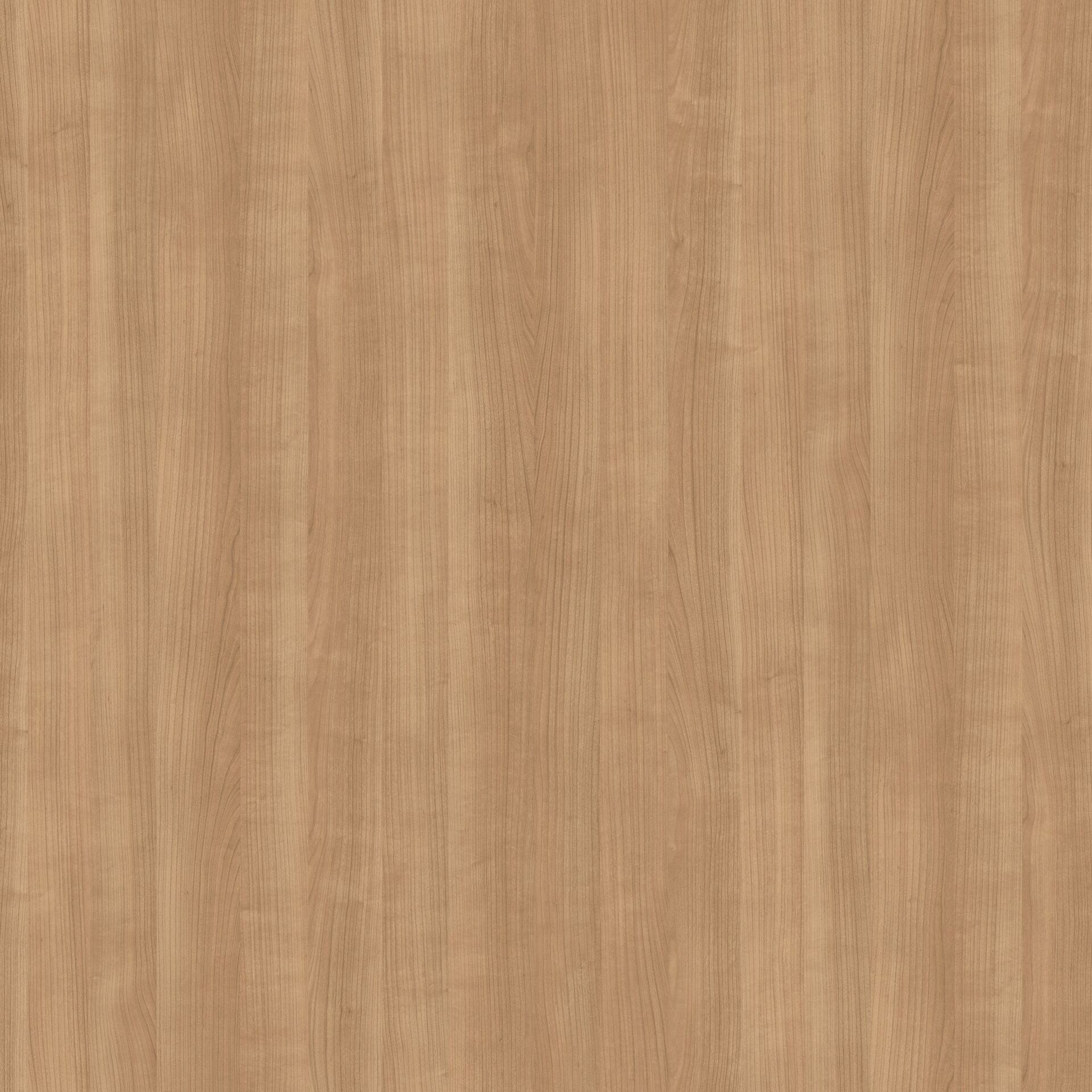 Vt-203 Morgana Kiraz MDFLAM 08*2800*2100