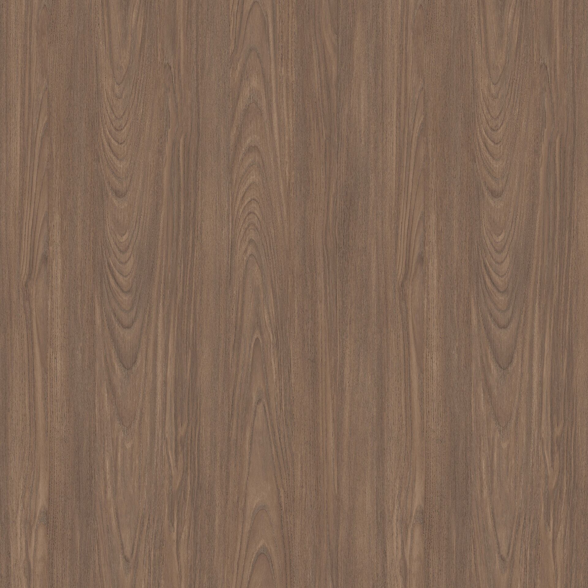 VT-10R AMBER CEVİZ MDF LAM