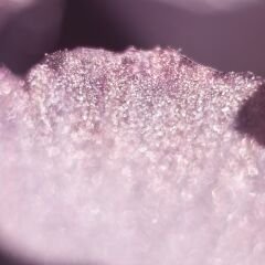 VT-10T MİSTİK MÜRDÜM MDFLAM