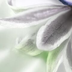 VT-10U IHLAMUR YEŞİLİ MDFLAM