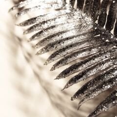 VT-10Z SATÜRN BEJ MDF LAM