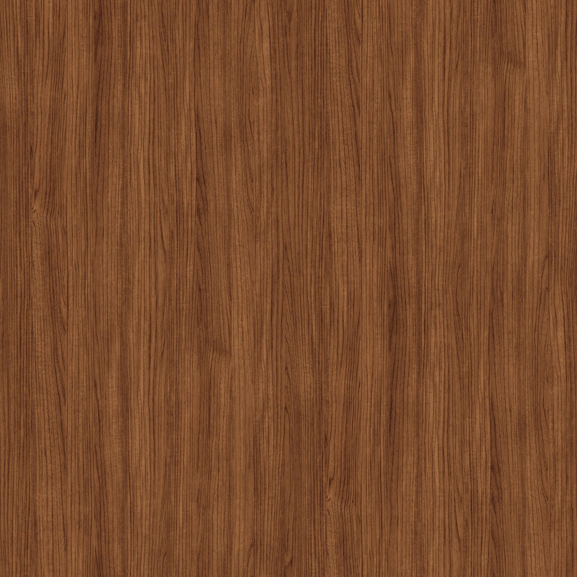 Vt-261 Söke Ceviz MDFLAM 08*2800*2100