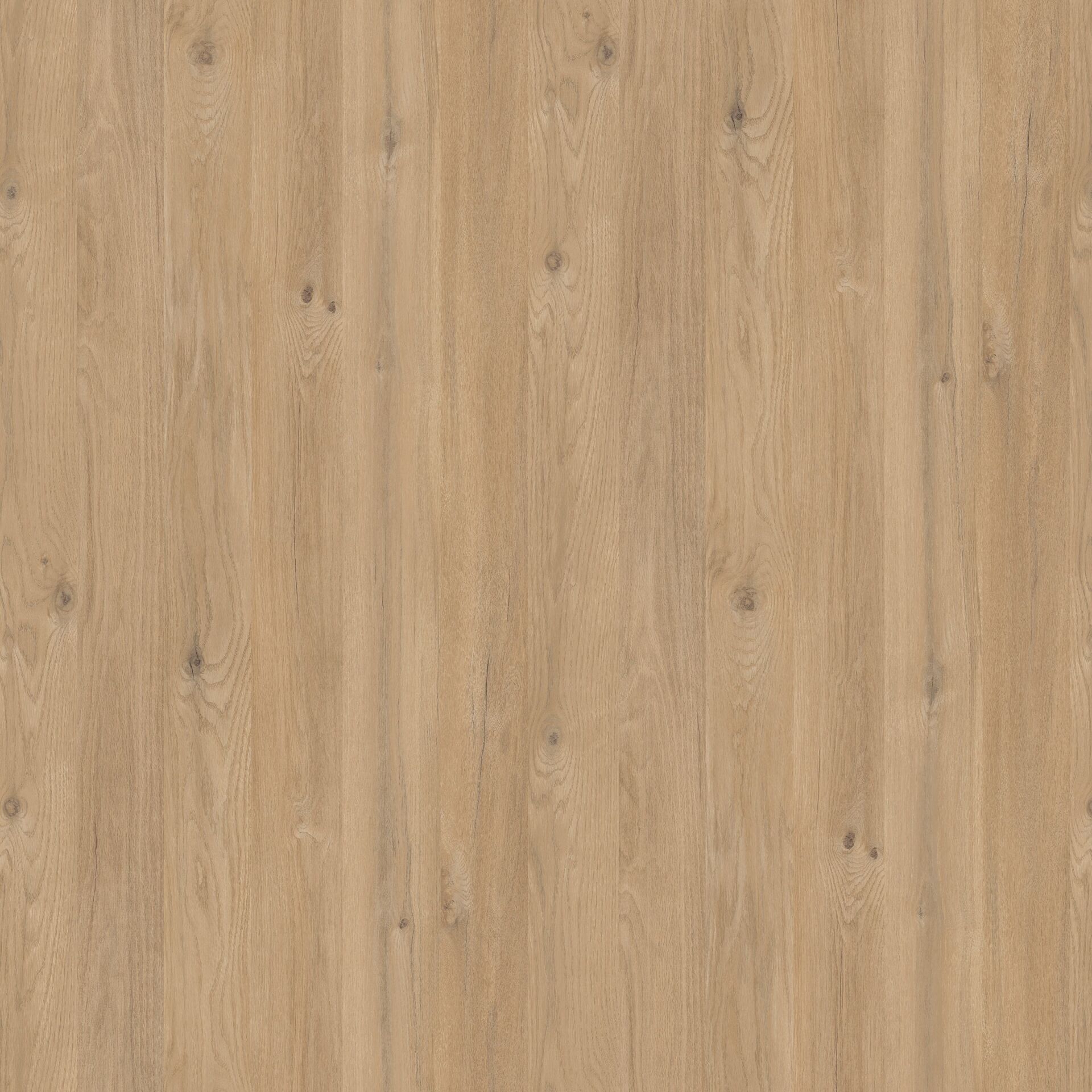 Vt-665 Toros Meşe MDFLAM 18*2800*2100