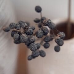 Mat-068 Beyaz - Kapak Panel - 18*1220*2800mm