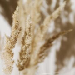 Sgl-538-Parlak-Kumbeji - Lak Panel - 18*2100*2800mm