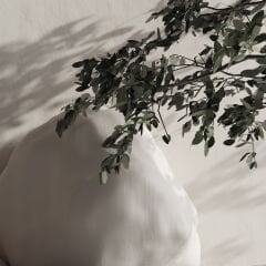 Sgl-969-Parlak-Ofis Gri - Lak Panel - 18*2100*2800mm