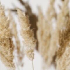 Sgl-265-Parlak-Vario Vizon - Lak Panel - 18*2100*2800mm