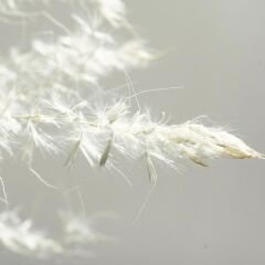 Sml-73A-Mat-Mozambik - Lak Panel - 18*2100*2800mm