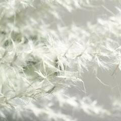 Sgl-73A-Parlak-Mozambik - Lak Panel - 18*2100*2800mm