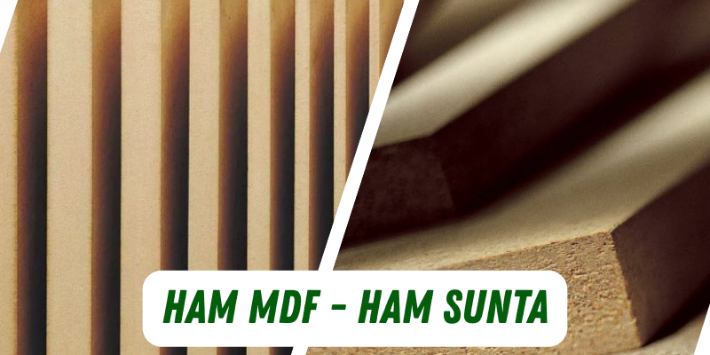ham mdf ham sunta